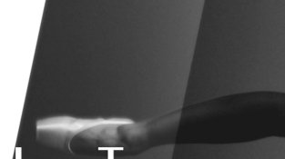 Tututango: una col·laboració artística que captiva i inspira