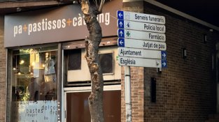 Imatge de les restes de l'arbre trencat