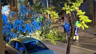 Imatge de la nit del 25 de setembre: caiguda de l'arbre al carrer Miquel Reverter
