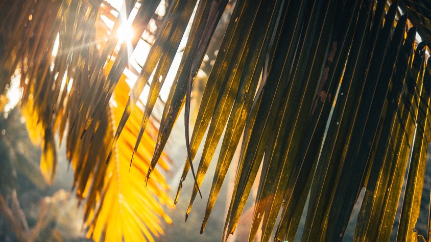 Fotografia: Raimond Klavins, Unsplash