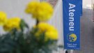 L'Ateneu estrena nova web