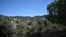 Les restriccions per accedir a Collserola no afecten les activitats econòmiques habituals