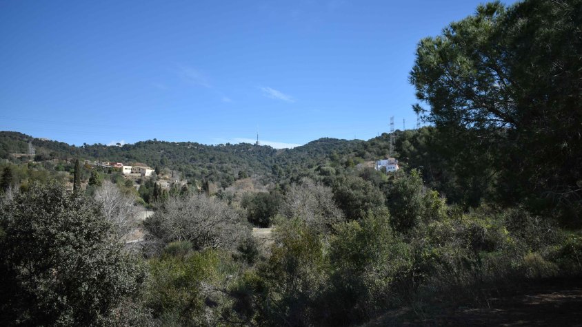 Les restriccions per accedir a Collserola no afecten les activitats habituals